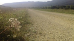 Caminante, no hay camino...