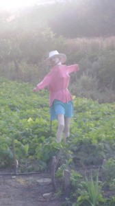 Mi novia del viaje fue un espantapájaros...